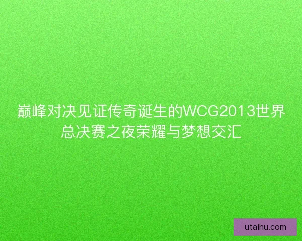 巅峰对决见证传奇诞生的WCG2013世界总决赛之夜荣耀与梦想交汇 巅峰对决见证传奇诞生的WCG2013世界总决赛之夜荣耀与梦想交汇